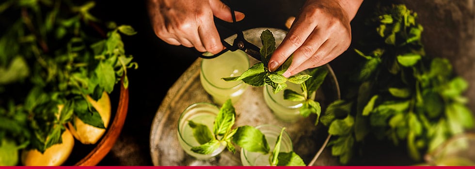 The-importance-of-naturalness-Using-botanical-extracts-and-organic-ingredients-to-satisfy-evolving-consumer-needs.jpg