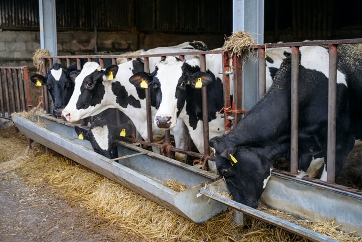 Tesco and Arla launch UK dairy partnership to reduce on-farm emissions 