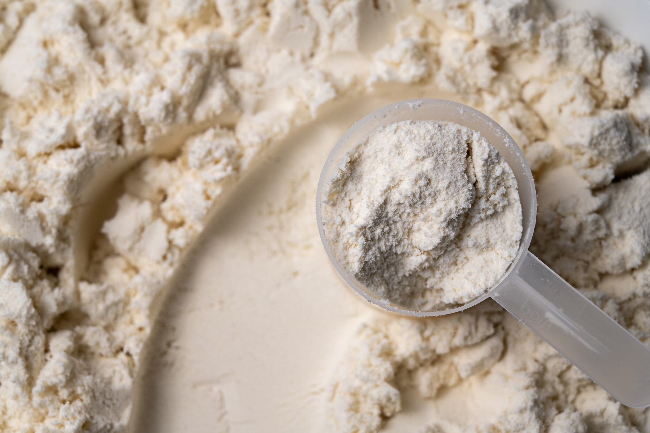 Clean label drives protein innovation – from seaweed stabilizers to yeast‑based alternatives