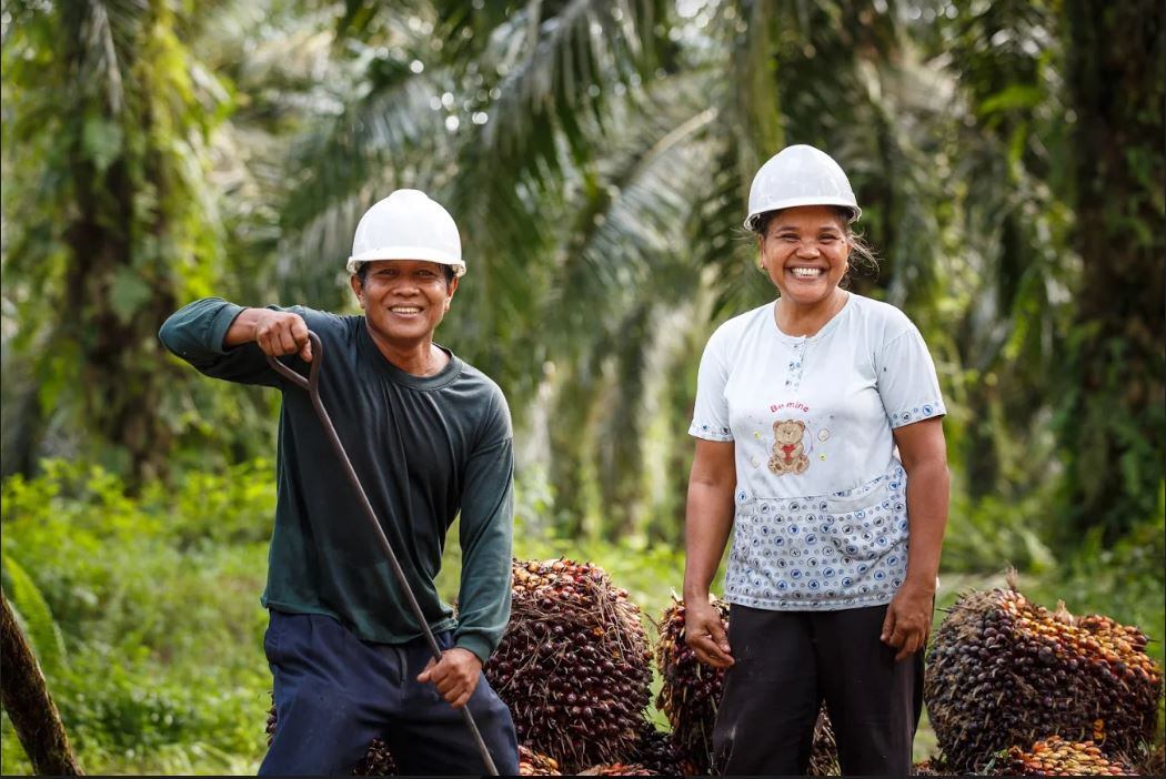 Palm-Oil-Smallholders.jpg