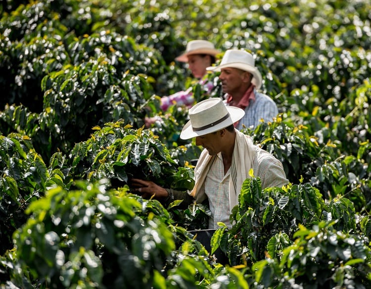 'Partnership, rather than exploitation’: Getting farmers a fair deal