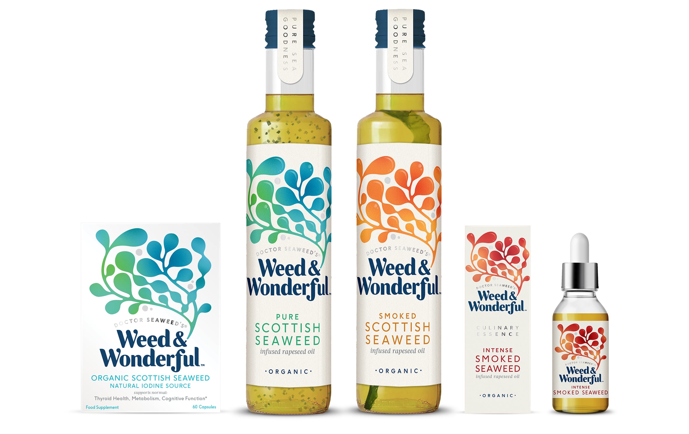 Marine biologist dives deeper into health market with seaweed range
