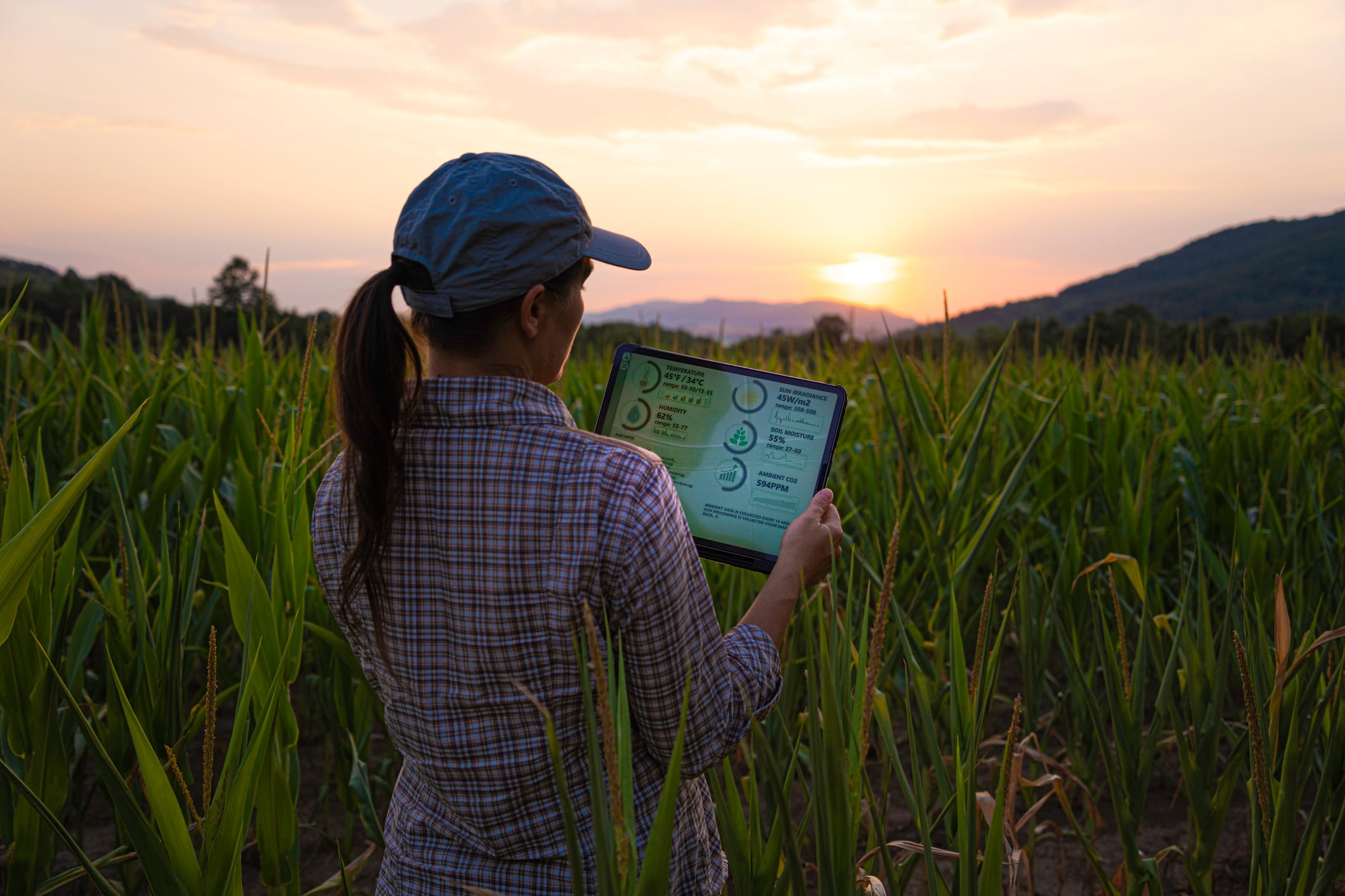 FAO on tackling food security through innovation