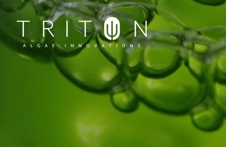 Triton-Algae-Innovations-develops-algae-production-platform-capable-of-producing-proteins-found-in-bovine-and-human-breast-milk.jpg