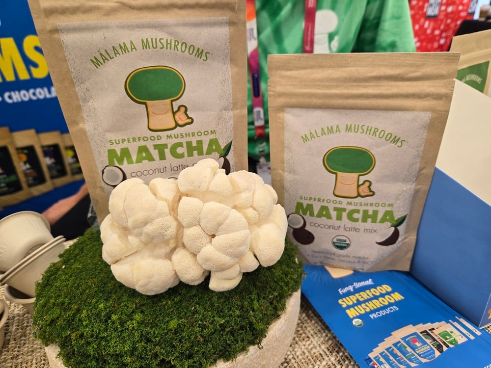 From mushroom coffees to wellness shots, functional mushrooms are expanding rapidly in food and beverage, but economic pressure and consolidation may reshape the market.