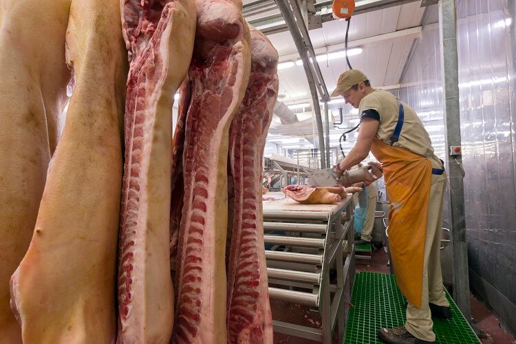 Rotting ham and mislabelled meat? Pork scandal shakes meat industry