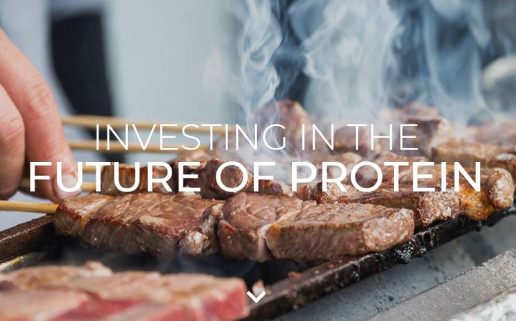 Lever VC launches new fund targeting alternative protein: deploys first $5m in 10 startups spanning plant-based eggs to cell-cultured breastmilk