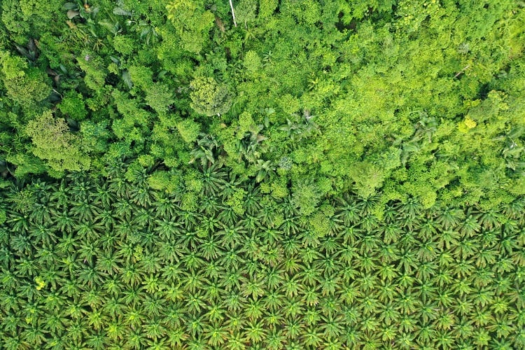 Which crops are least prepared for the EUDR deadline?