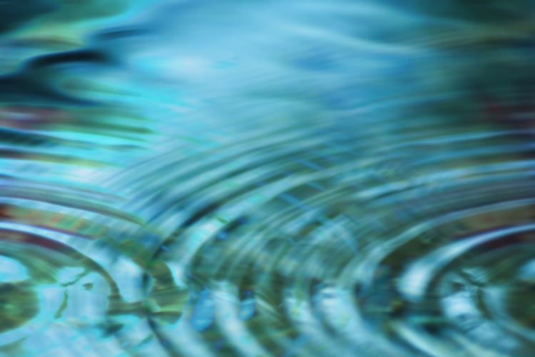 ‘The issue of water scarcity has to be taken more seriously’: Suntory merges science and nature for good water stewardship