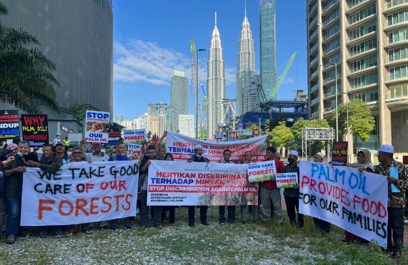 Not in good conscience: Malaysia government and agricultural leaders condemn 'highly demeaning' EU deforestation regulation