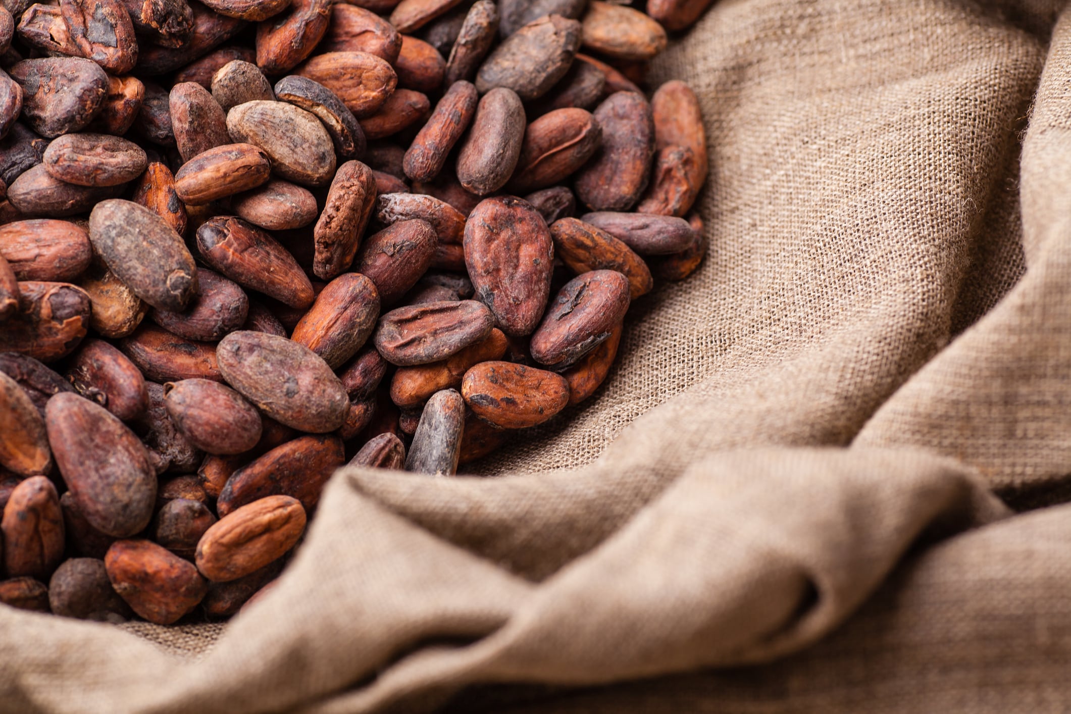 Mars pumps $13m into future talent and farmer resilience