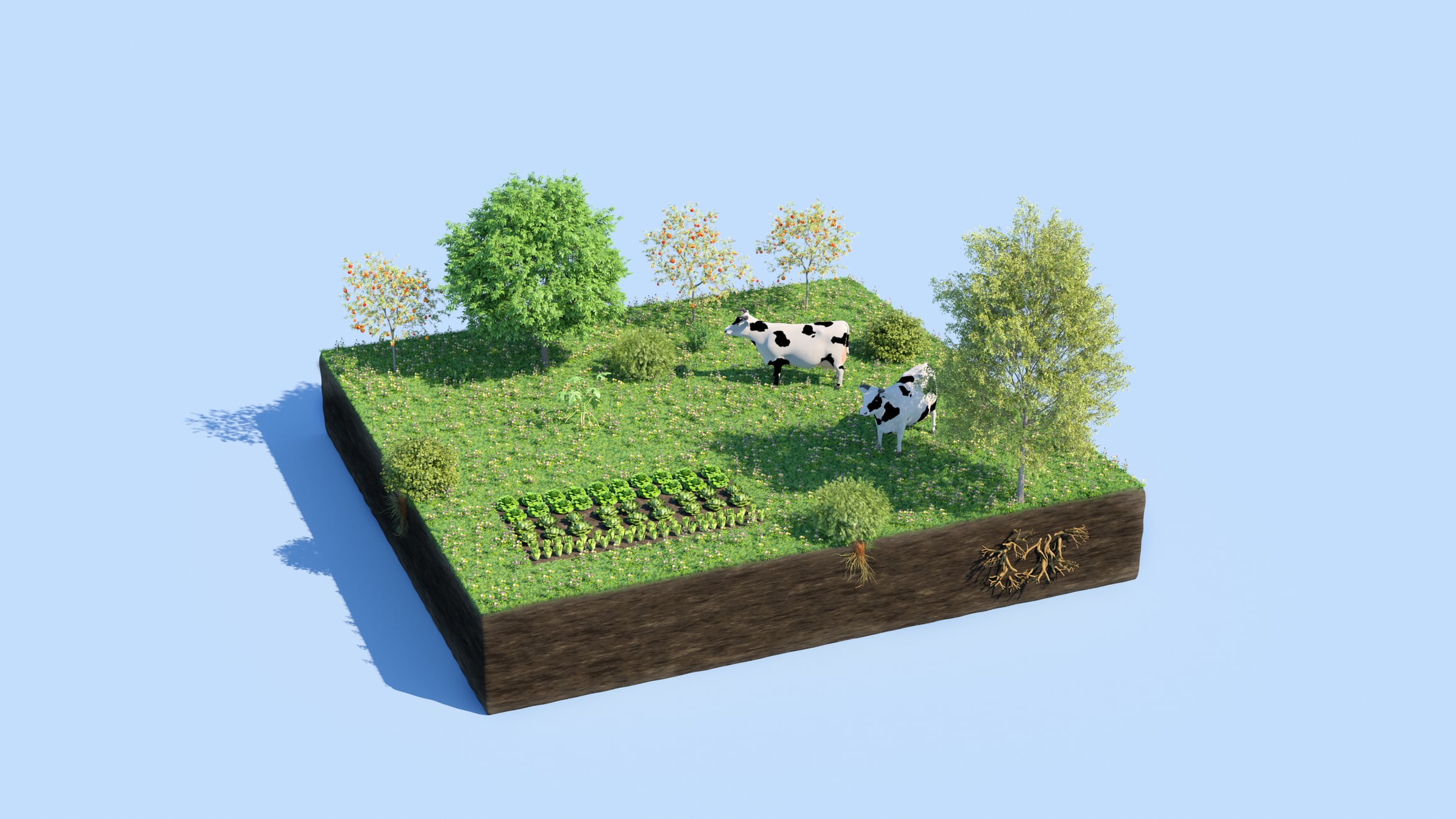 McDonald’s and Lloyds Bank pump funds into ‘critical’ regen ag project