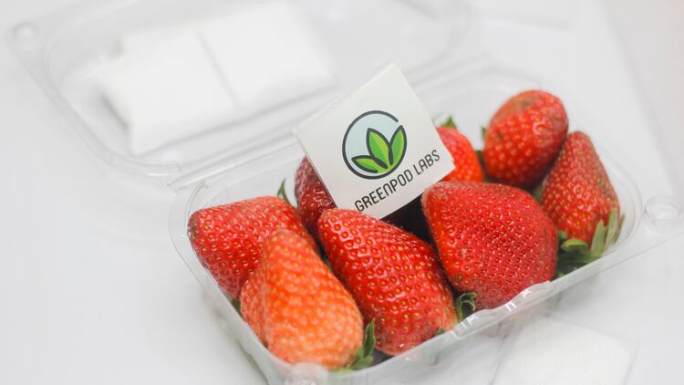 Greenpod-sachet-for-strawberries.jpg