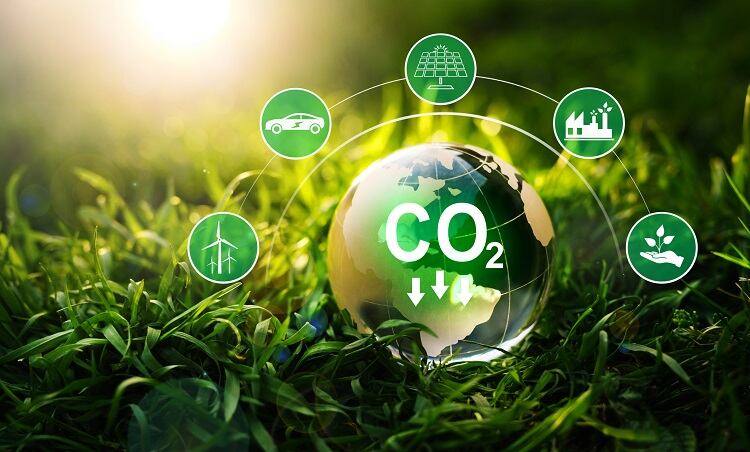 Decarbonising food and drink: What are the ‘easy wins’ for small brands?