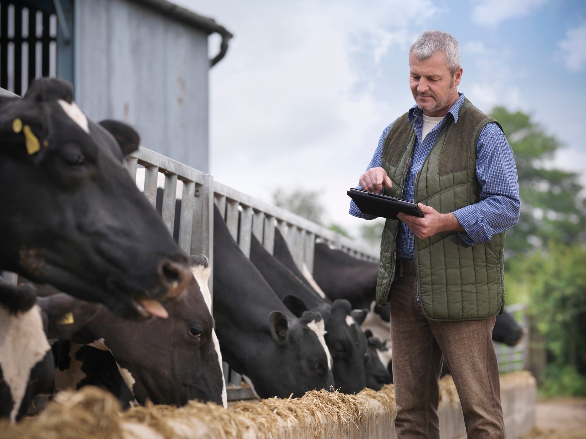 From dairy farms to feed production, Nestlé and its partners are working to scale regenerative agriculture while addressing barriers around capital, data and program design.