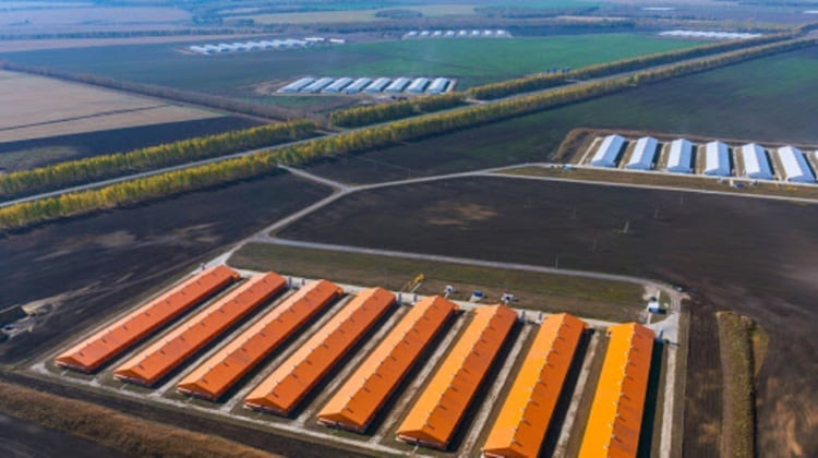 Damate Group invests €2.2m in new turkey MDM freezing solution