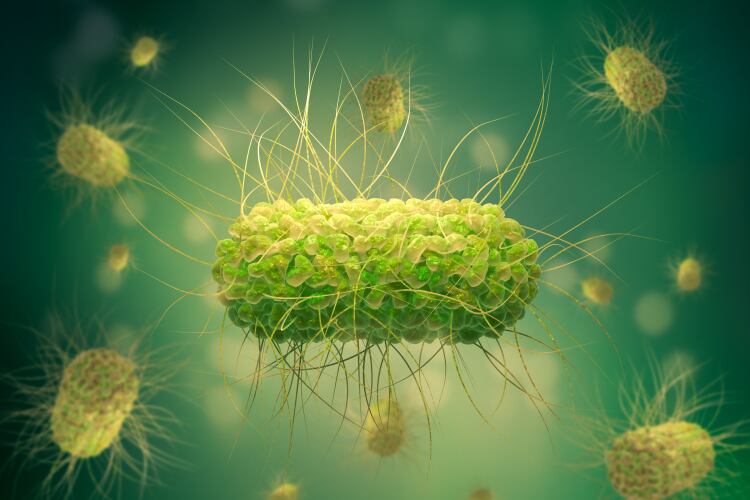 How next-gen sequencing tech is advancing food safety testing technologies 