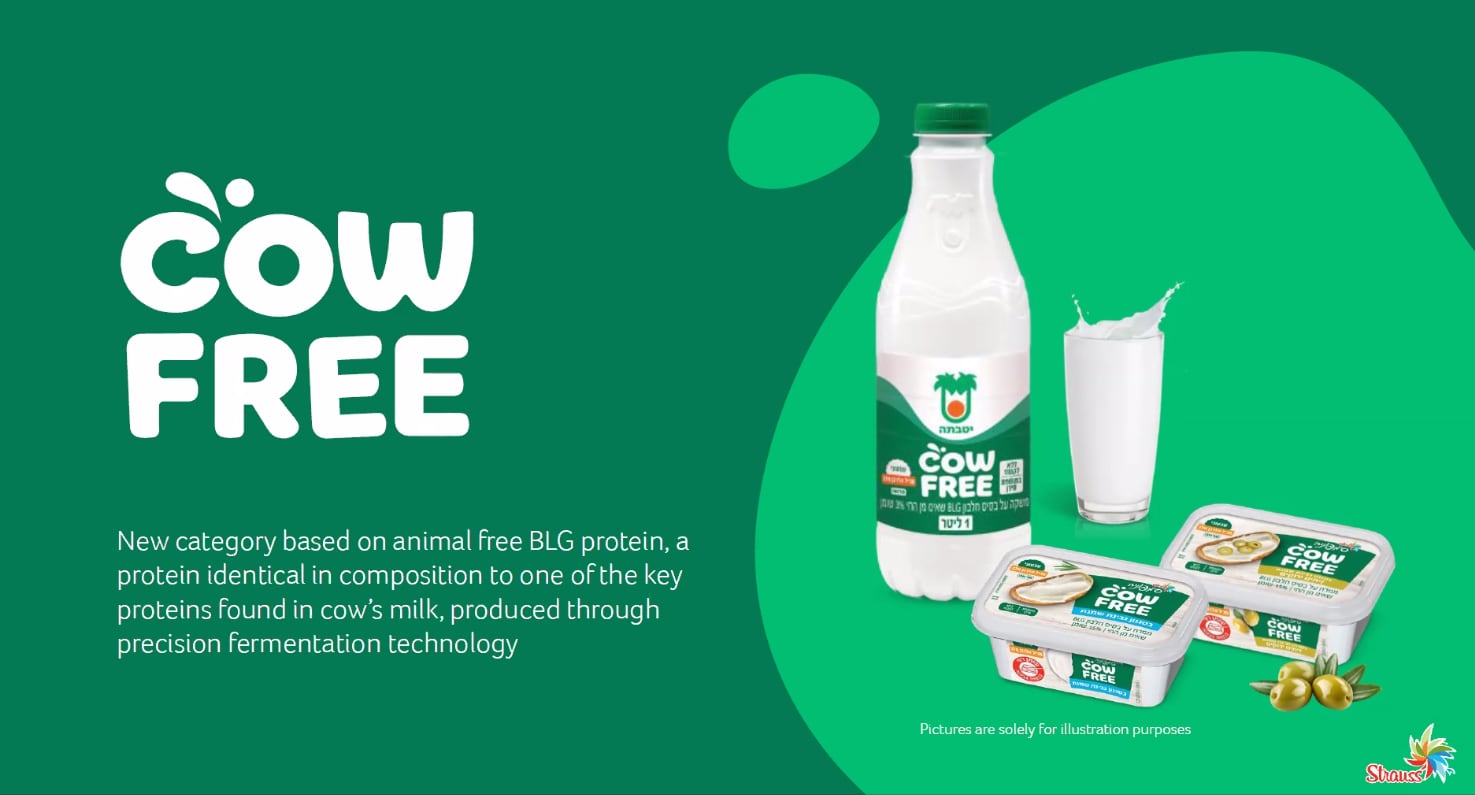 strauss group cow free