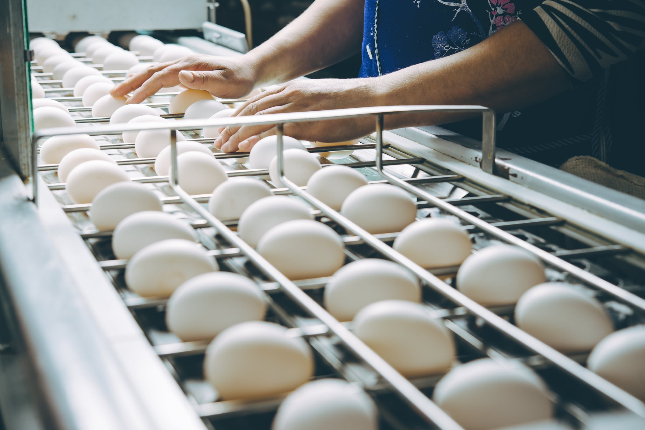 The American Egg Board has worked with hundreds of entrepreneurs since the launch of the Eggcelerator Lab about three years ago.