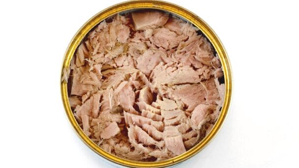 Tuna1.jpg