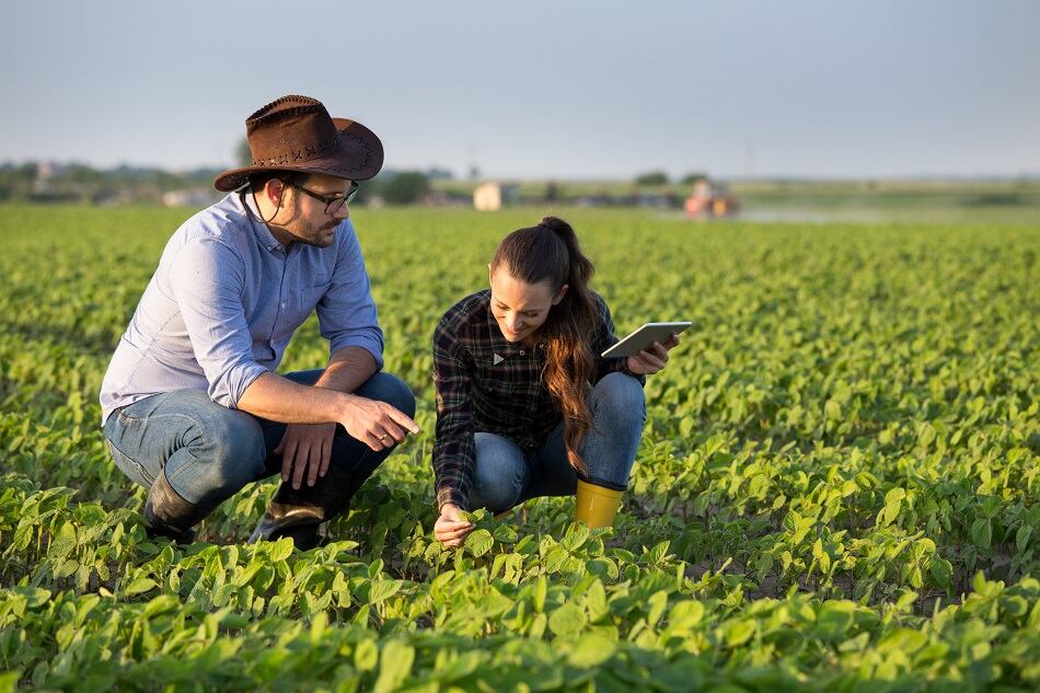 Benson Hill closes $150m Series D funding round, readies for 2021 launch of ultra-high protein soybean