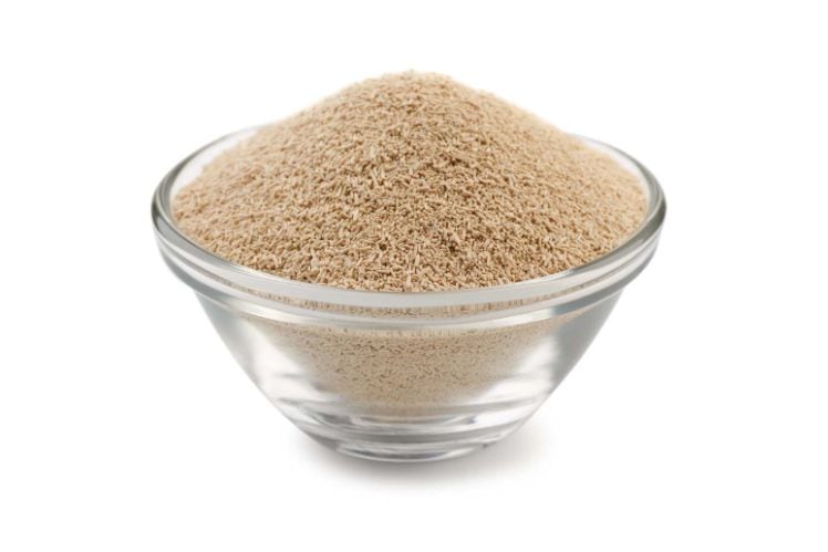CLEAN-LABEL-IN-FOCUS-Savory-Taste-Alliance-seeks-to-demystify-autolyzed-yeast-extract.jpg