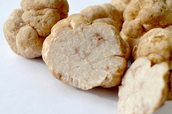 ‘We expect white truffle orchards in Europe’: French farmers celebrate ‘white diamond’ breakthrough