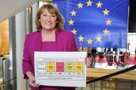 Glenis-Willmott-traffic-light-MEP.jpg