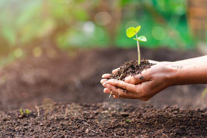 Unleashing sustainable food science: A catalyst for innovation and collaboration