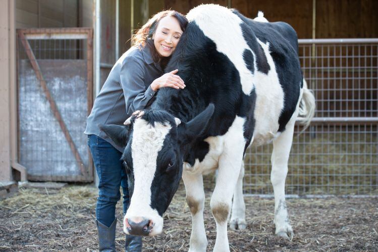 ‘Milk plants, hug cows…’ Miyoko’s Creamery raises $52m, develops industry-first: plant-based cottage cheese 