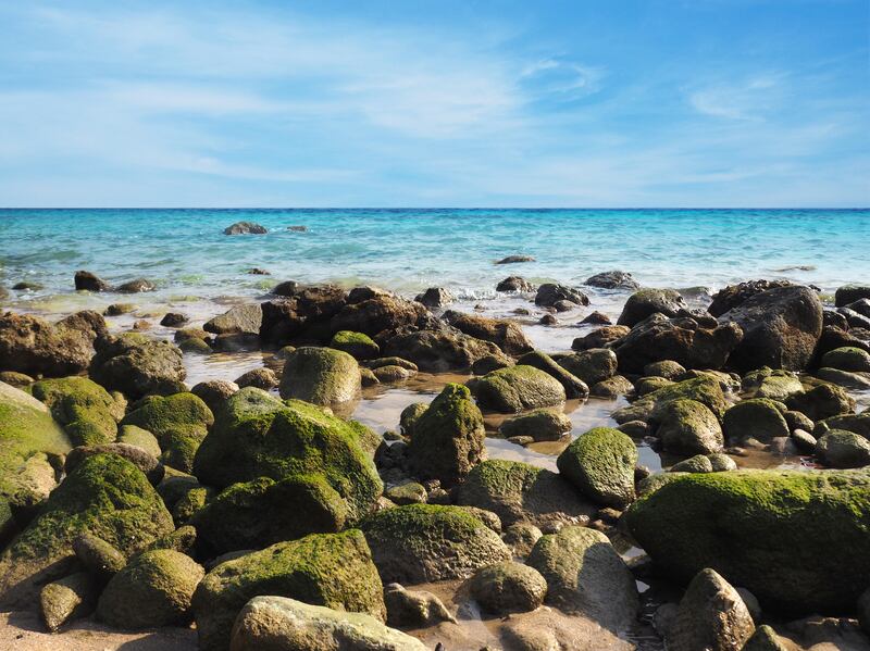 iStock_94130057_SMALL.jpg