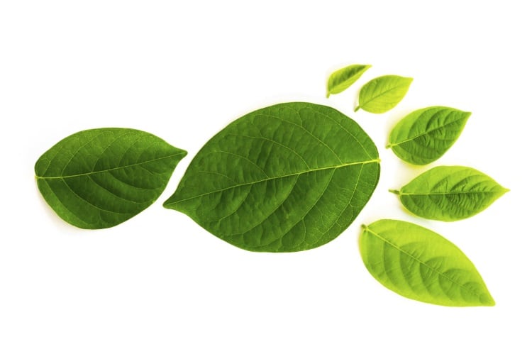 Sustainability focus for Tyson Foods