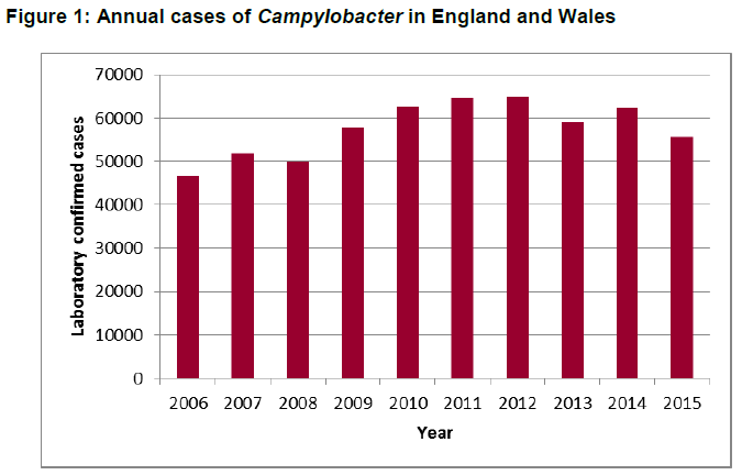 phe-campy-eng-and-wales.png