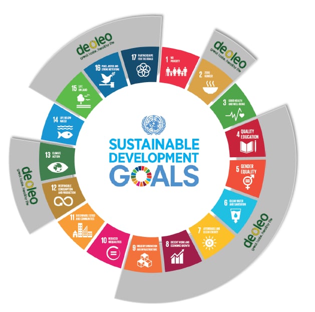 sdgs-deoleo.png