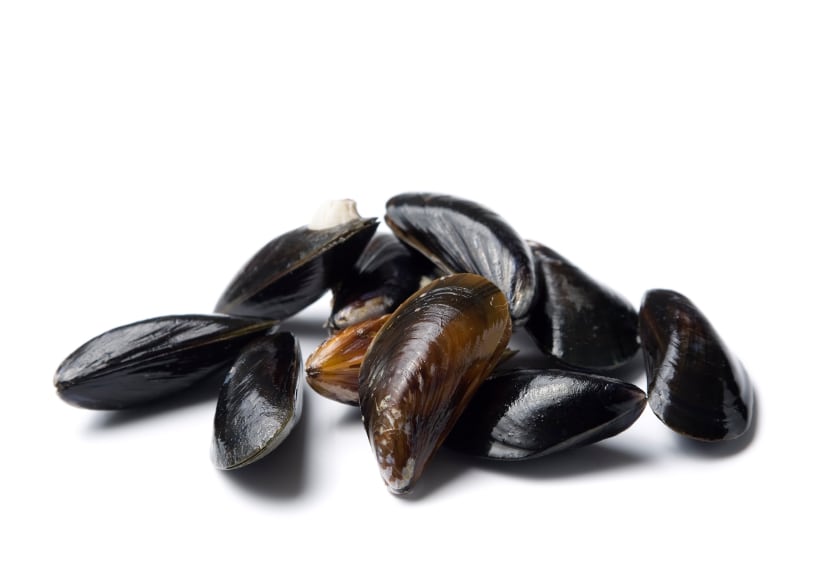Study: Omega-3 in mussels may help reduce the risk of cardiac arrest