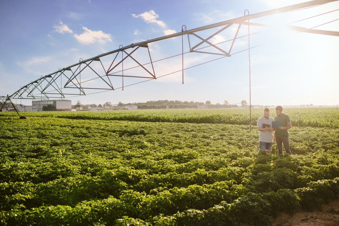 Pepsico_icrop-water-ittigation-in-Spain.jpg