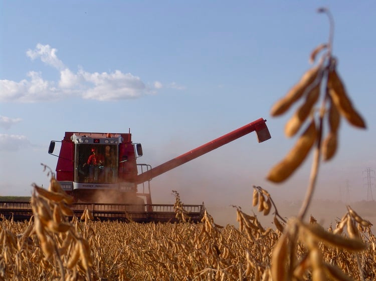 Soy major Amaggi talks monitoring deforestation, the cost of sustainability, and whether collaboration really is a ‘silver bullet’