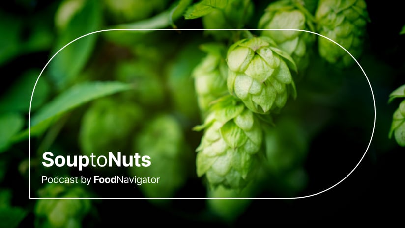 Hops on the vine