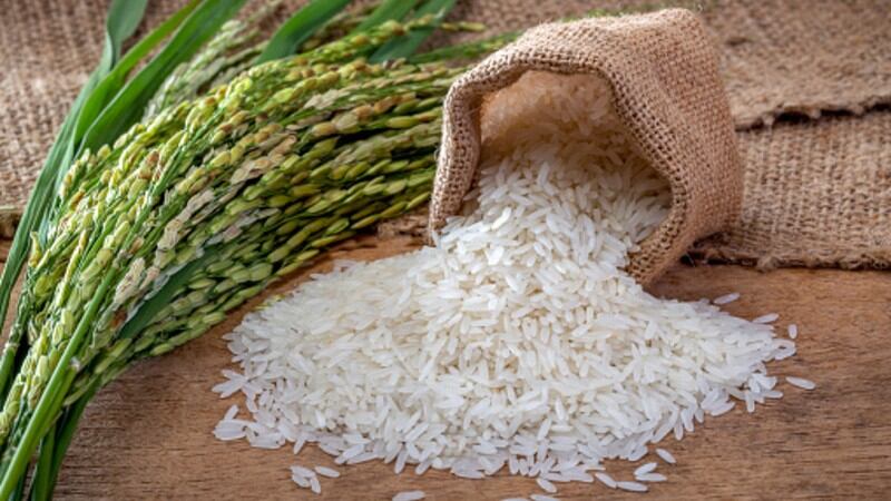 Going against the grain: Declining political and price ‘interference’ provides rice sourcing boost to Asia food firms