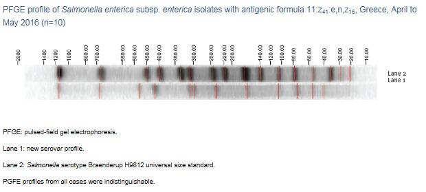 pfge-salmonella-greece.png