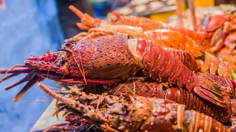 Safety-First-Novel-coronavirus-false-labelling-nuclear-food-ban-lift-and-more-feature-in-our-round-up.jpg