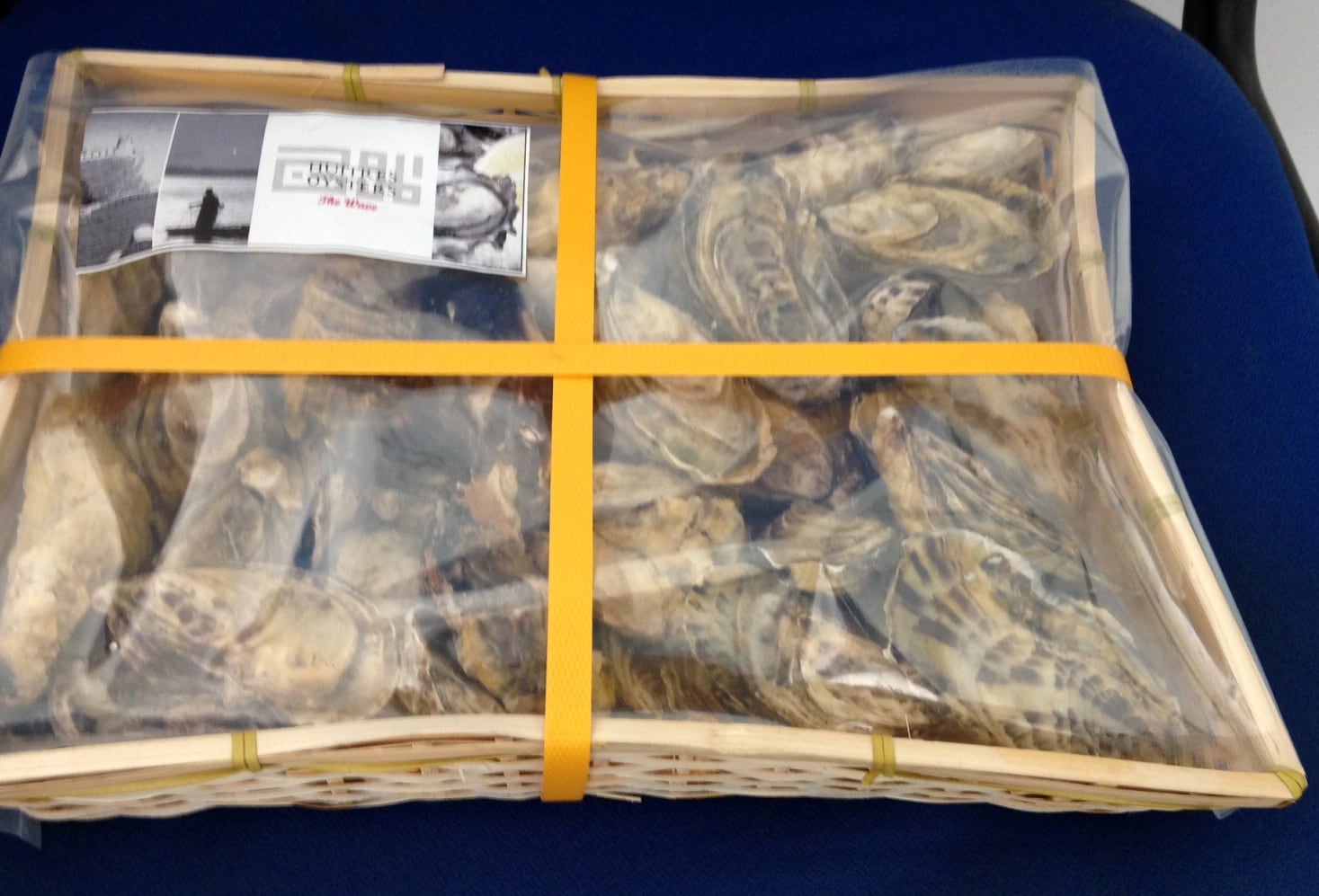 Oysters-Oman.jpg