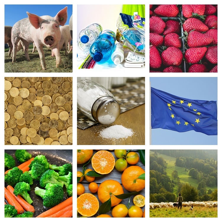 CAP vote meets protest & SUP directive sparks industry response: A round-up of EU news & views