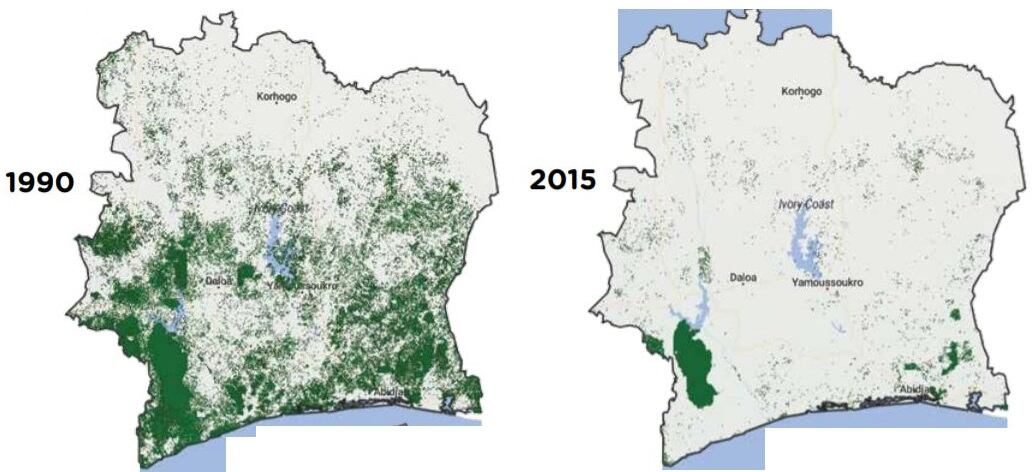 forest-cover-might-earth-map.jpg