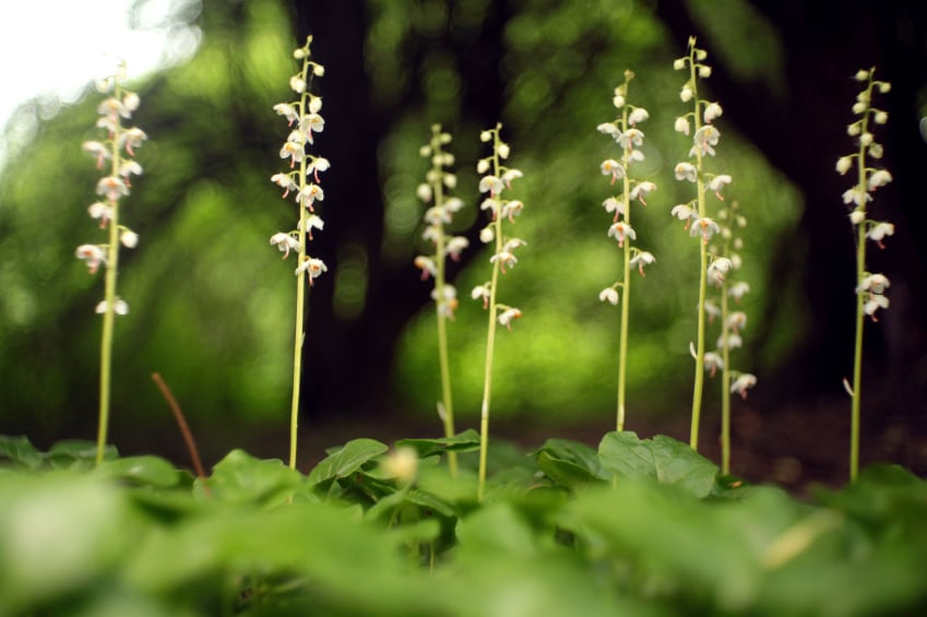 Food sector suppliers ‘defy sustainability commitments’, report warns