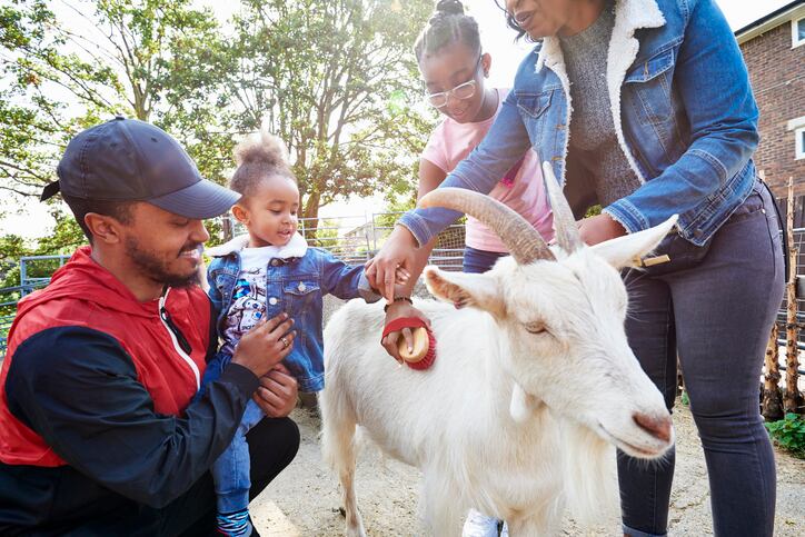 Delay-in-organic-animal-welfare-standards-recalls-rule-s-long-journey.jpg