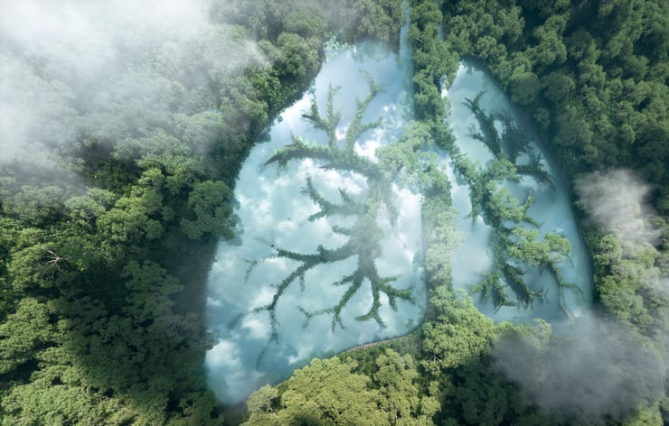 JBS doubles down on deforestation as Greenpeace denounces ‘five more years of inaction'