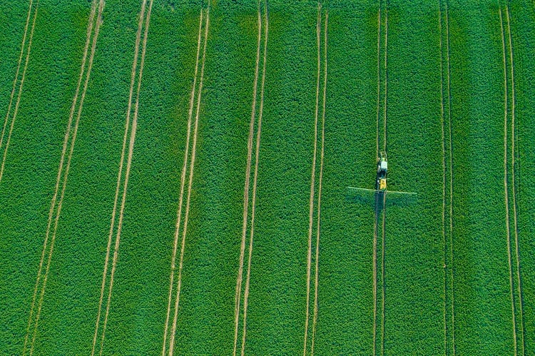 Fossil-free food: Green fertilizer developed to ‘effortlessly’ decarbonise the food chain