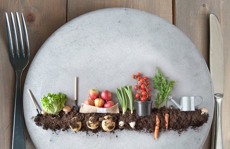 How agrifood is entering the next phase of its sustainable development