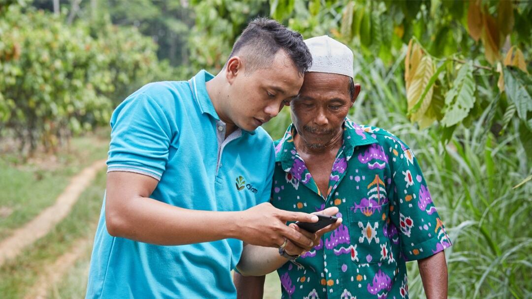 Olam-Cocoa-traceability.jpg
